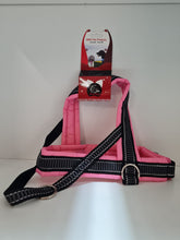 Load image into Gallery viewer, Dog Collars, Leads & Harnesses