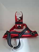 Load image into Gallery viewer, Dog Collars, Leads & Harnesses