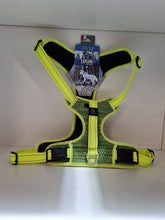 Load image into Gallery viewer, Dog Collars, Leads & Harnesses