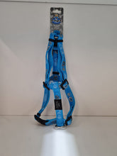 Load image into Gallery viewer, Dog Collars, Leads & Harnesses